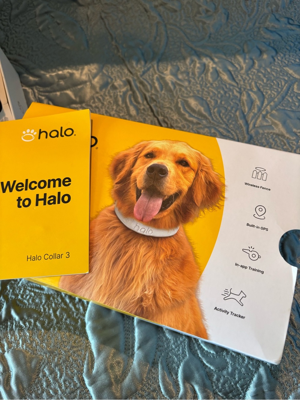 Halo 3 Gray Collar  (Size S) GPS Wireless Fence
